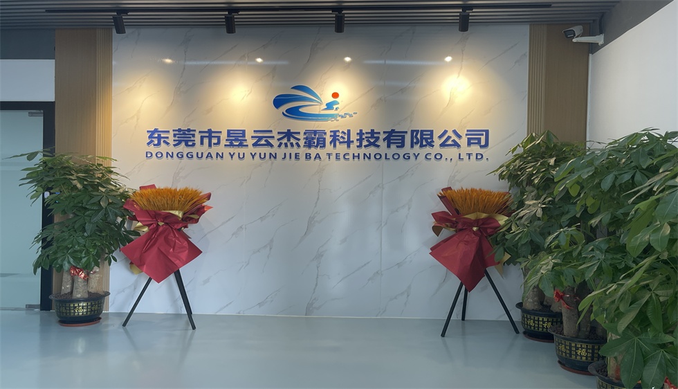 COMPANY OVERVIEW